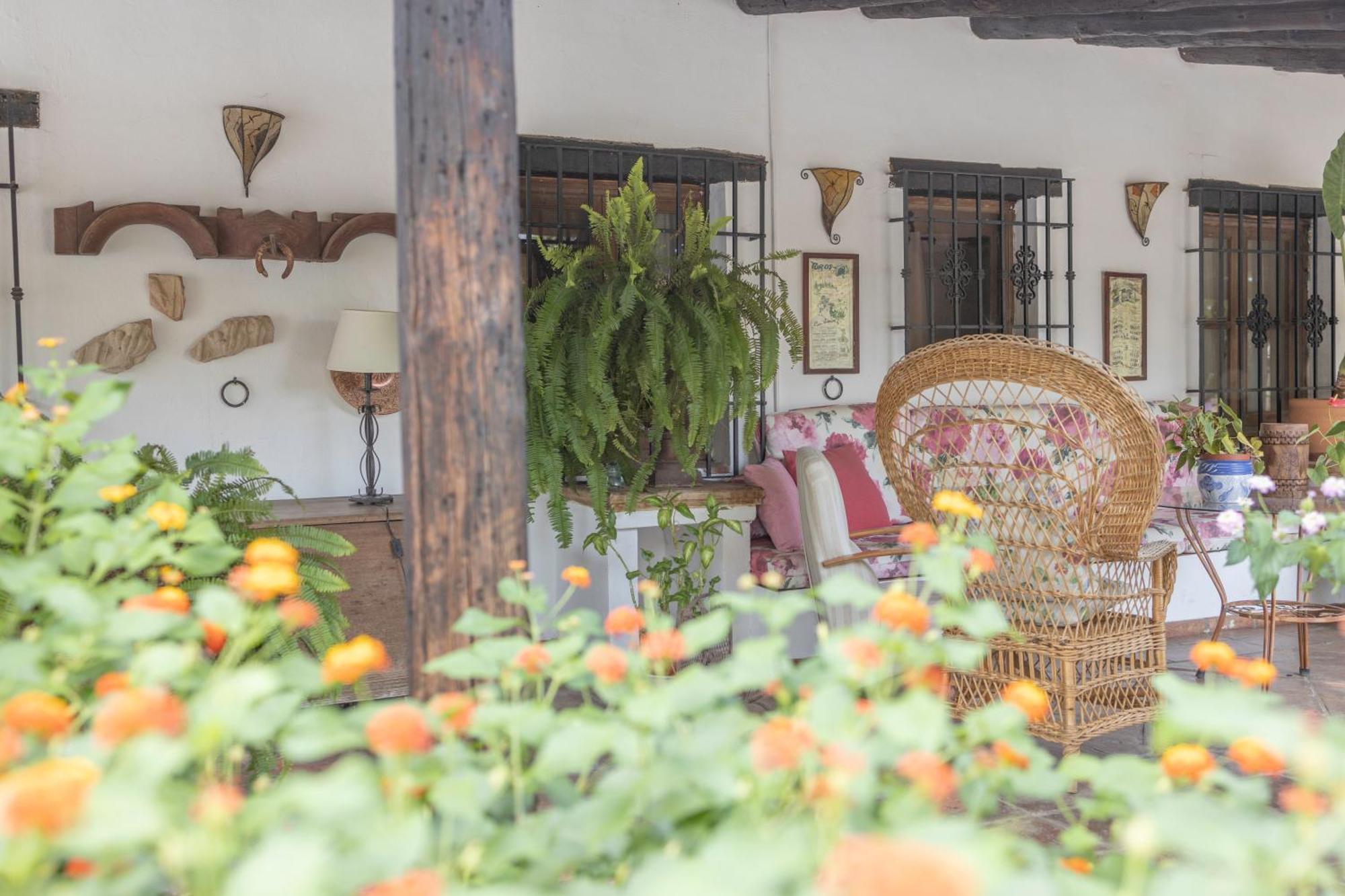 La Cuadra, Finca A Los Pies De Sierra Nevada, A 10 Minutos Del Centro, Piscina, Jardin, Barbacoa La Zubia  Exteriör bild