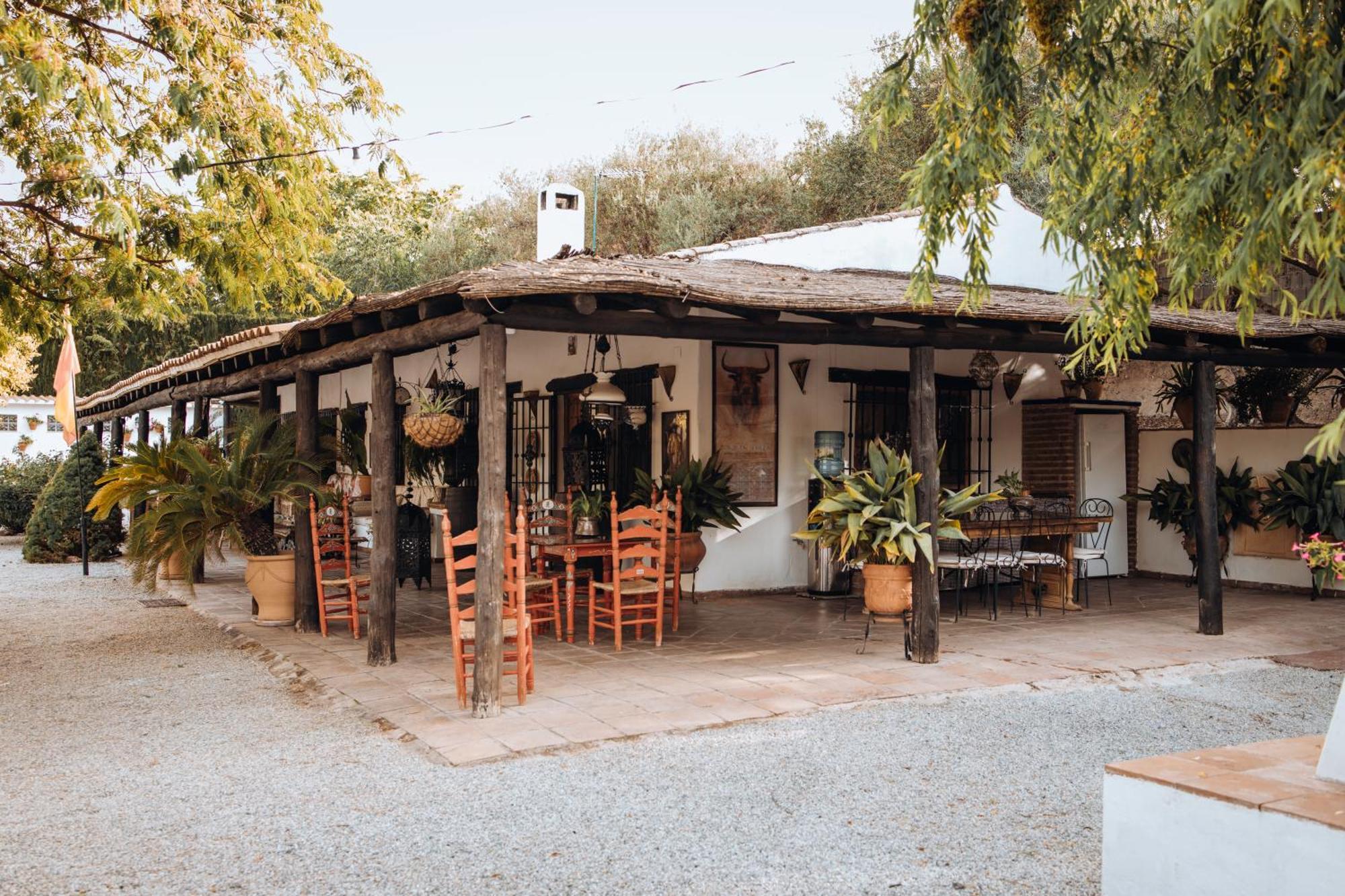 La Cuadra, Finca A Los Pies De Sierra Nevada, A 10 Minutos Del Centro, Piscina, Jardin, Barbacoa La Zubia  Exteriör bild
