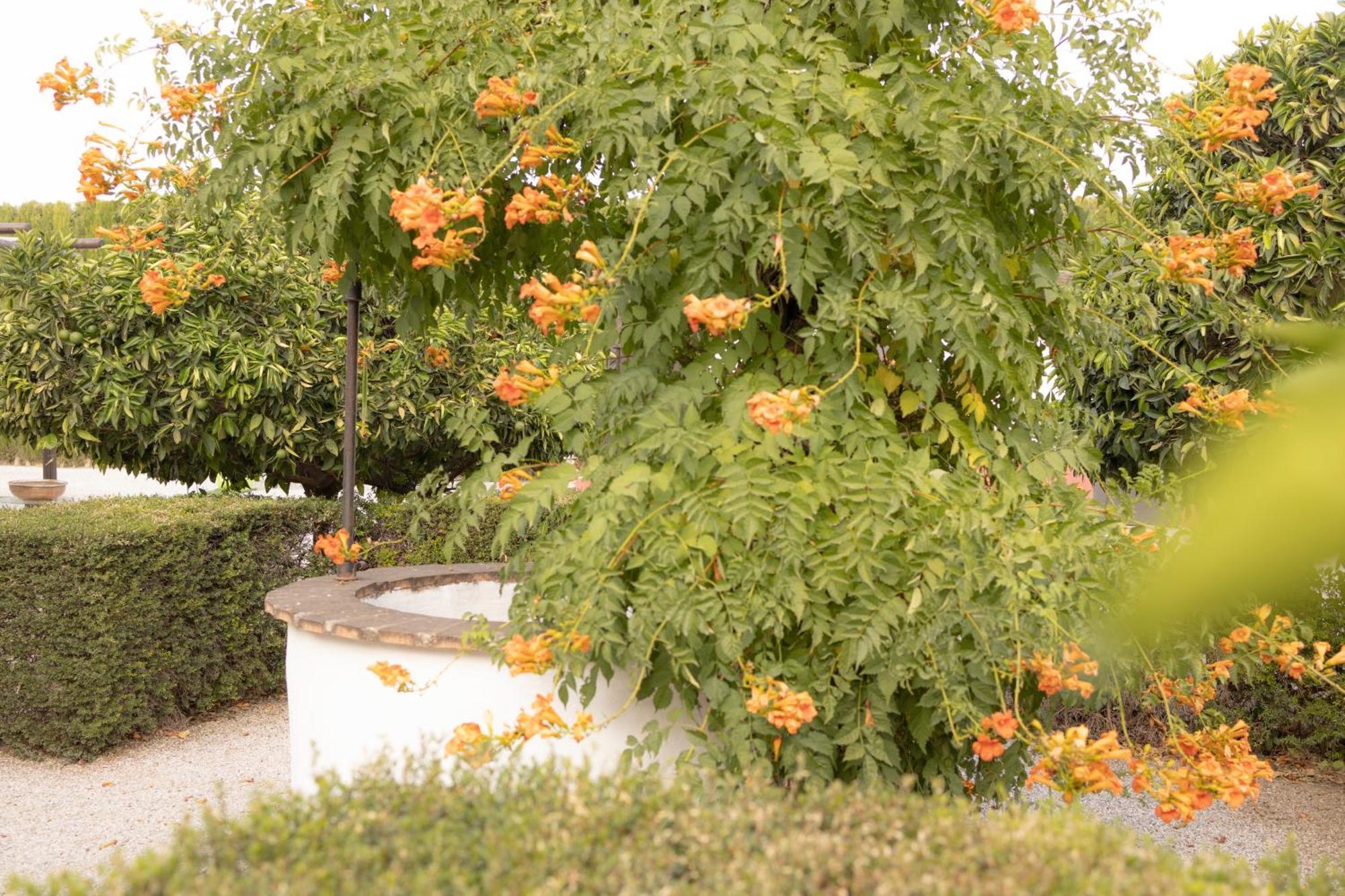 La Cuadra, Finca A Los Pies De Sierra Nevada, A 10 Minutos Del Centro, Piscina, Jardin, Barbacoa La Zubia  Exteriör bild